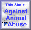 If your site is Against Animal Abuse, you are welcome to take this banner!